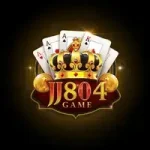 JJ804 Game