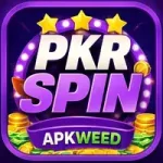 PKRSpin Game